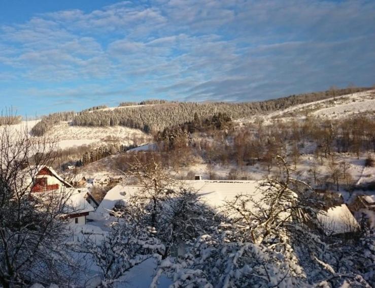 3 Sterne Ferienwohnung Pape Schmallenberg Exteriér fotografie