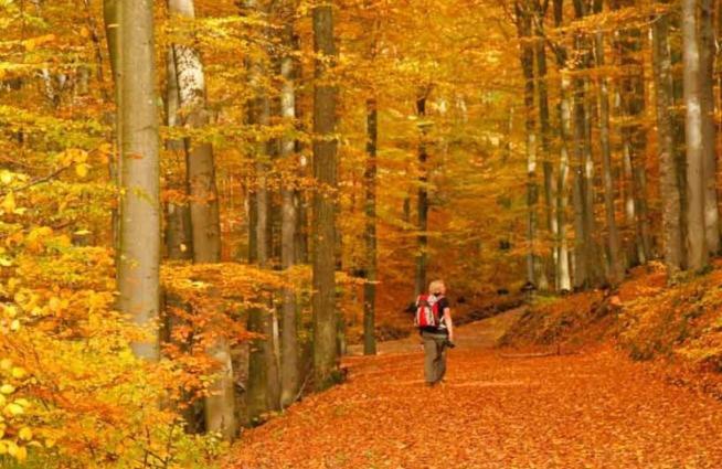 3 Sterne Ferienwohnung Pape Schmallenberg Exteriér fotografie